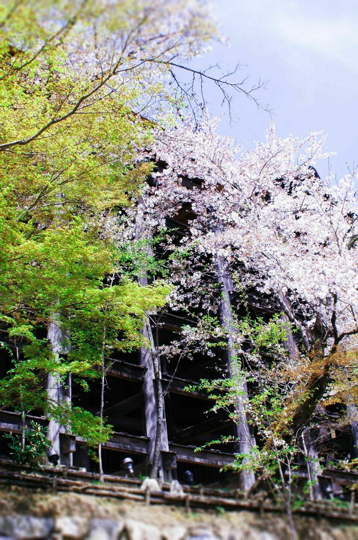 Stay Sakura Kyoto Machiya Akari Exteriér fotografie